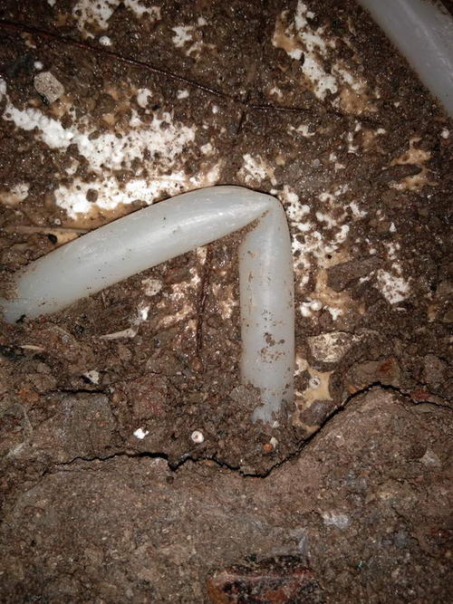 洋县堵点精准查找